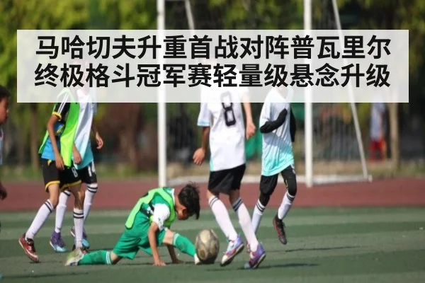 马哈切夫升重首战对阵普瓦里尔 终极格斗冠军赛轻量级悬念升级