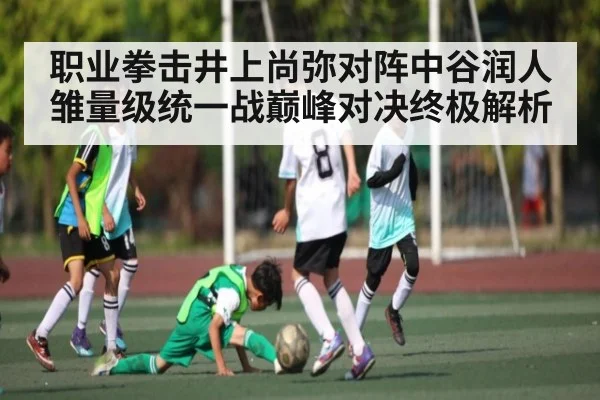 职业拳击井上尚弥对阵中谷润人雏量级统一战巅峰对决终极解析